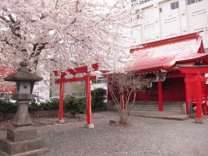 金生稲荷神社と桜