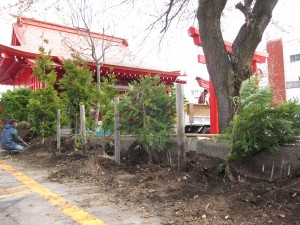 金生稲荷神社　植樹