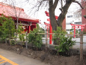 金生稲荷神社　植樹