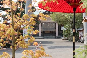 皐月月次祭　廣田神社